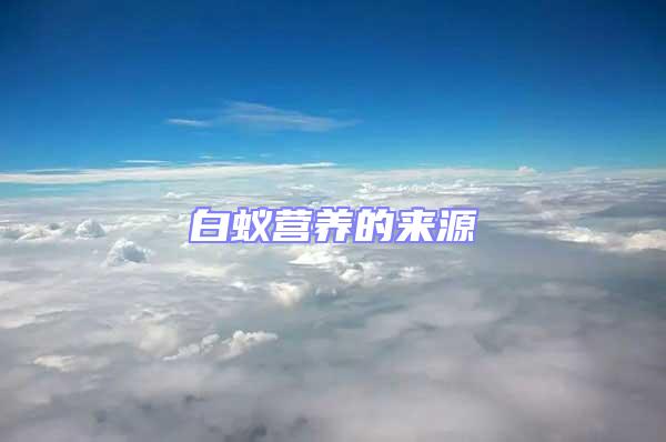白蟻營養的來源