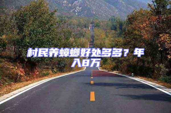 村民養(yǎng)蟑螂好處多多？年入8萬