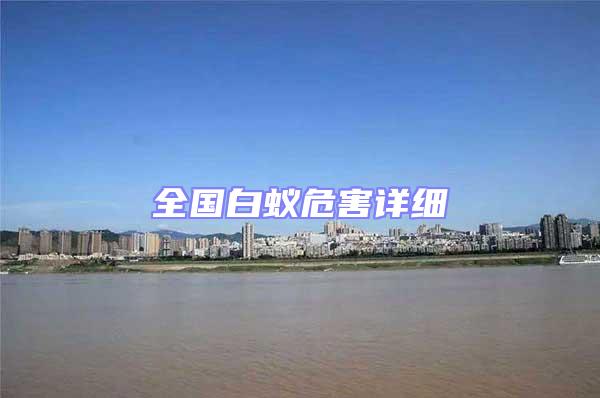 全國白蟻危害詳細