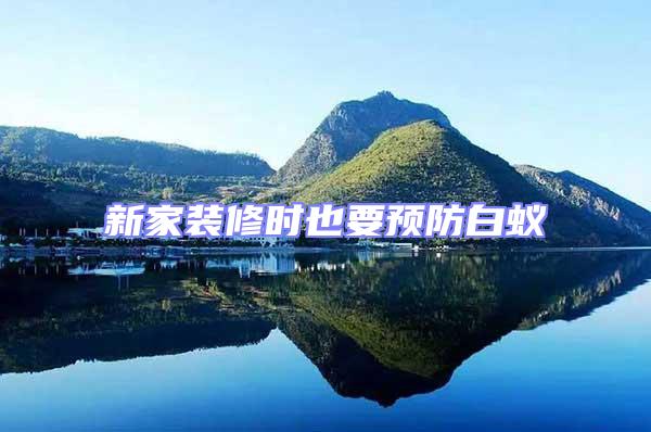 新家裝修時也要預(yù)防白蟻