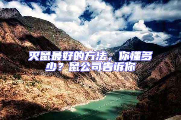 滅鼠最好的方法，你懂多少？鼠公司告訴你