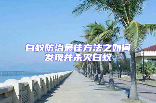 白蟻防治最佳方法之如何發現并殺滅白蟻