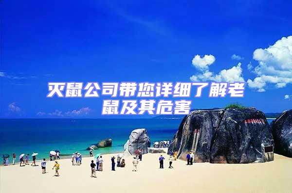 滅鼠公司帶您詳細了解老鼠及其危害