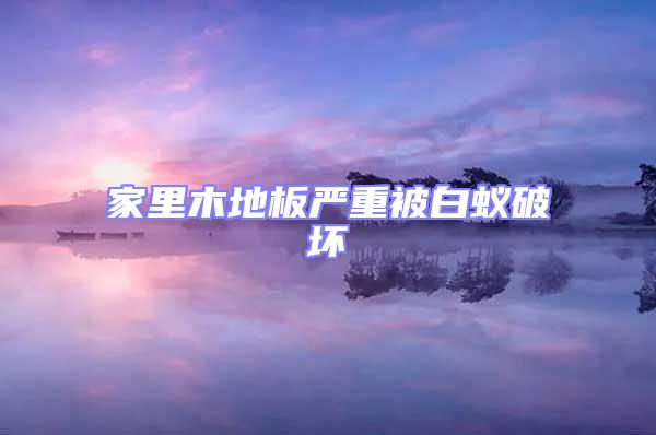 家里木地板嚴重被白蟻破壞