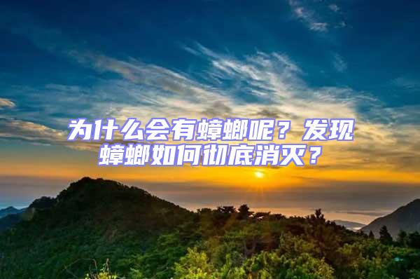 為什么會有蟑螂呢？發(fā)現(xiàn)蟑螂如何徹底消滅？