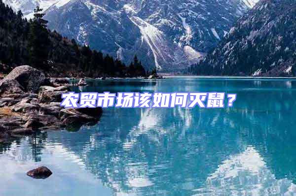 農(nóng)貿(mào)市場該如何滅鼠？