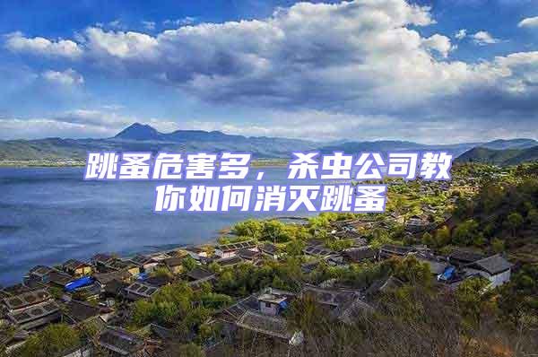跳蚤危害多，殺蟲(chóng)公司教你如何消滅跳蚤