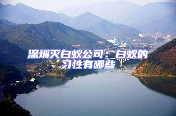 深圳滅白蟻公司：白蟻的習(xí)性有哪些