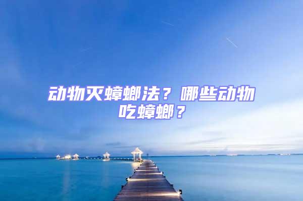 動物滅蟑螂法？哪些動物吃蟑螂？