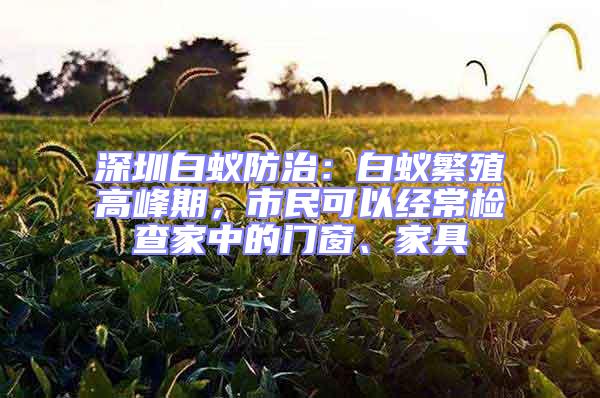 深圳白蟻防治：白蟻繁殖高峰期，市民可以經(jīng)常檢查家中的門窗、家具