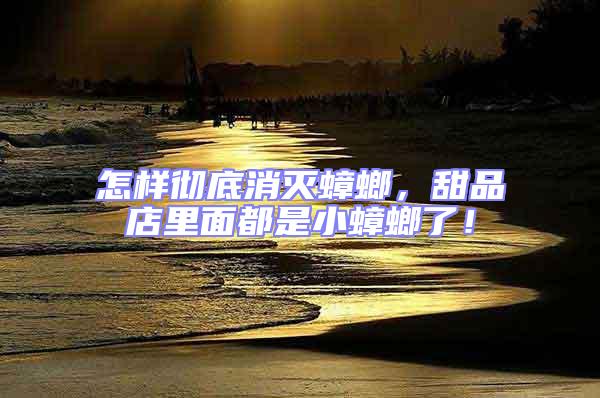 怎樣徹底消滅蟑螂，甜品店里面都是小蟑螂了！