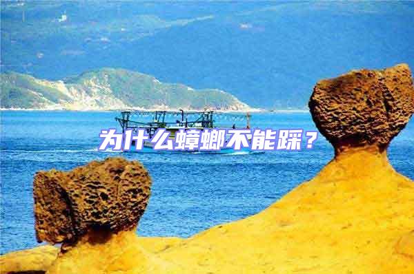 為什么蟑螂不能踩？