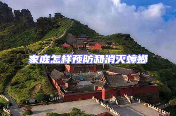 家庭怎樣預防和消滅蟑螂
