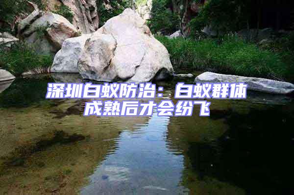 深圳白蟻防治：白蟻群體成熟后才會(huì)紛飛