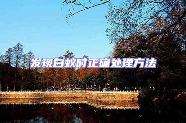 發(fā)現(xiàn)白蟻時(shí)正確處理方法