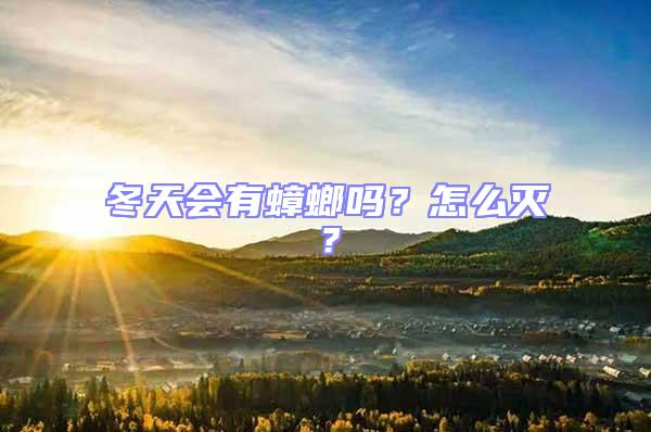 冬天會(huì)有蟑螂嗎？怎么滅？