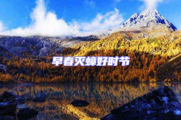 早春滅蟑好時節