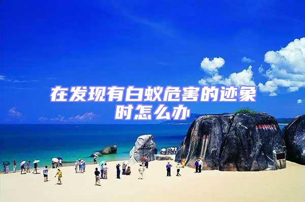 在發(fā)現(xiàn)有白蟻危害的跡象時(shí)怎么辦