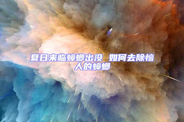 夏日來(lái)臨蟑螂出沒(méi) 如何去除惱人的蟑螂