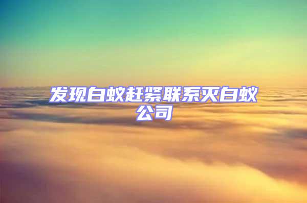 發現白蟻趕緊聯系滅白蟻公司