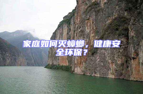 家庭如何滅蟑螂，健康安全環(huán)保？