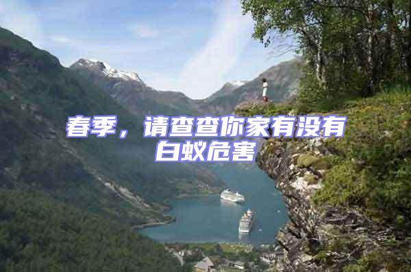 春季，請查查你家有沒有白蟻危害