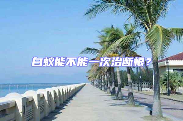 白蟻能不能一次治斷根？