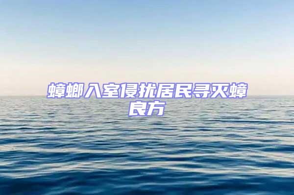 蟑螂入室侵擾居民尋滅蟑良方