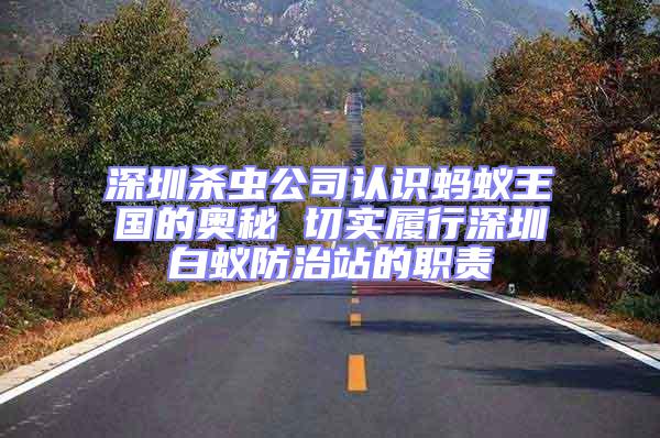 深圳殺蟲公司認識螞蟻王國的奧秘 切實履行深圳白蟻防治站的職責(zé)