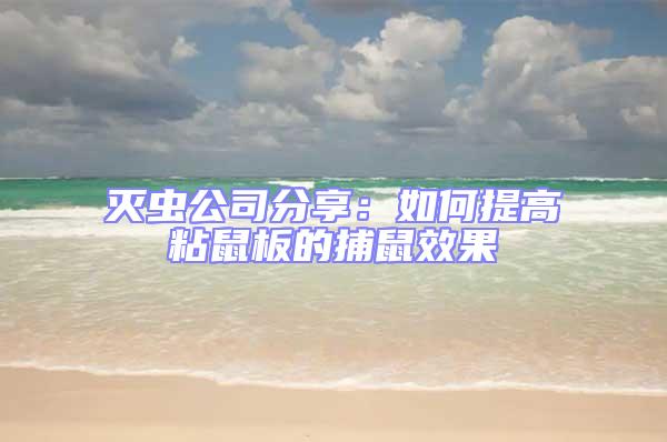 滅蟲(chóng)公司分享：如何提高粘鼠板的捕鼠效果