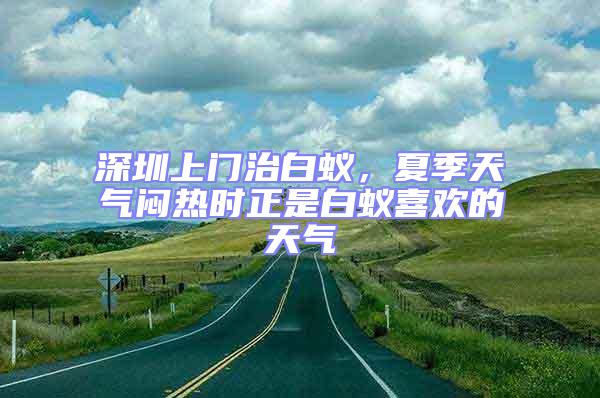 深圳上門治白蟻，夏季天氣悶熱時正是白蟻喜歡的天氣