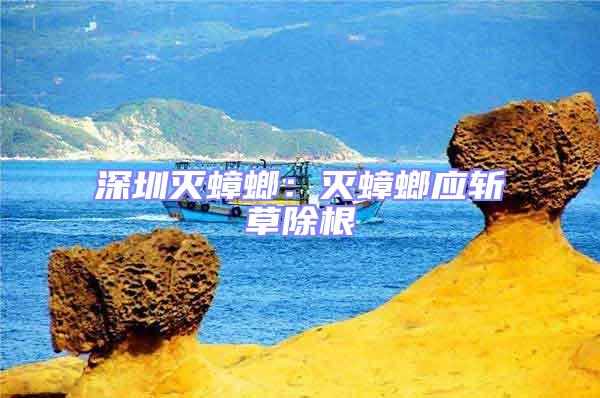 深圳滅蟑螂：滅蟑螂應(yīng)斬草除根