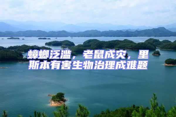 蟑螂泛濫，老鼠成災，里斯本有害生物治理成難題