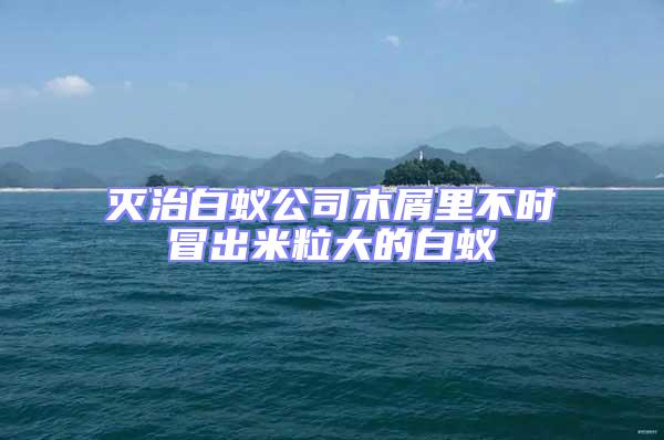 滅治白蟻公司木屑里不時冒出米粒大的白蟻