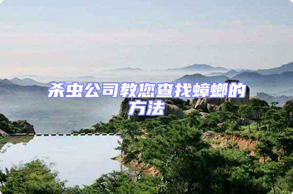 殺蟲(chóng)公司教您查找蟑螂的方法