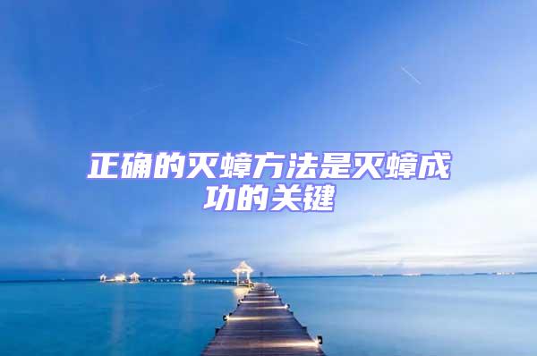 正確的滅蟑方法是滅蟑成功的關(guān)鍵