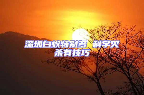 深圳白蟻特別多 科學(xué)滅殺有技巧