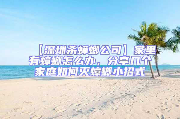 【深圳殺蟑螂公司】家里有蟑螂怎么辦，分享幾個家庭如何滅蟑螂小招式