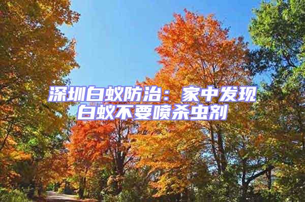 深圳白蟻防治：家中發現白蟻不要噴殺蟲劑