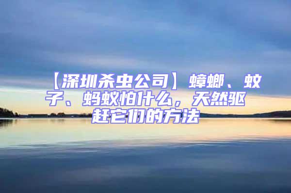 【深圳殺蟲公司】蟑螂、蚊子、螞蟻怕什么，天然驅趕它們的方法