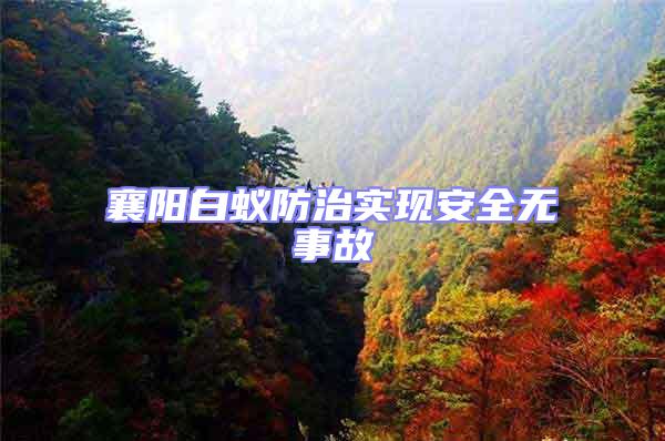 襄陽白蟻防治實(shí)現(xiàn)安全無事故