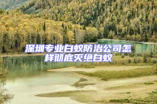 深圳專(zhuān)業(yè)白蟻防治公司怎樣徹底滅絕白蟻