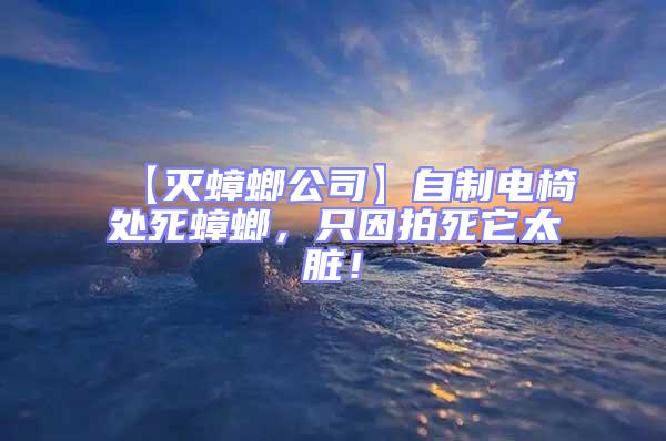 【滅蟑螂公司】自制電椅處死蟑螂，只因拍死它太臟！