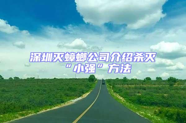 深圳滅蟑螂公司介紹殺滅“小強(qiáng)”方法
