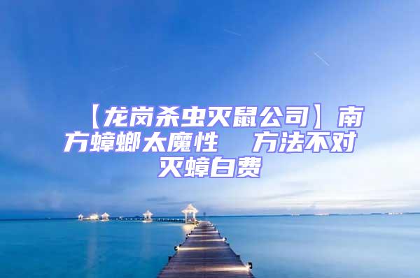 【龍崗殺蟲滅鼠公司】南方蟑螂太魔性  方法不對(duì)滅蟑白費(fèi)