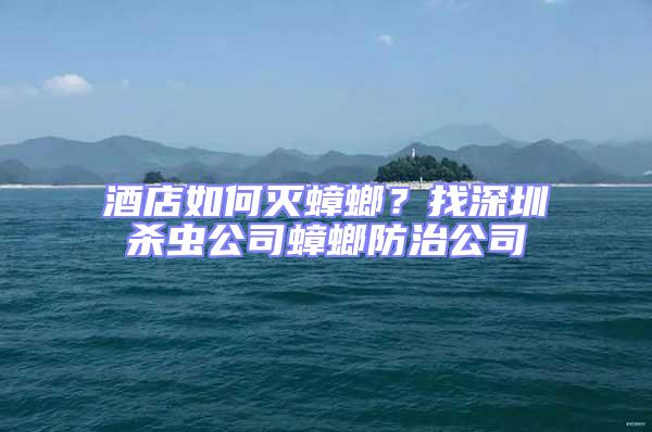 酒店如何滅蟑螂？找深圳殺蟲公司蟑螂防治公司