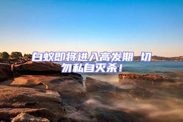 白蟻即將進入高發(fā)期 切勿私自滅殺！