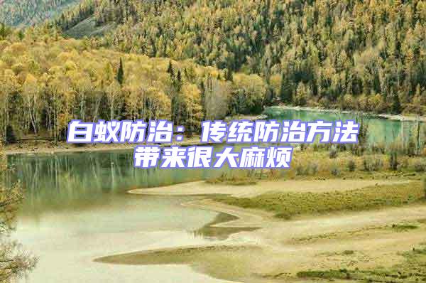 白蟻防治：傳統(tǒng)防治方法帶來很大麻煩
