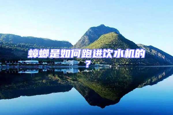 蟑螂是如何跑進飲水機的？