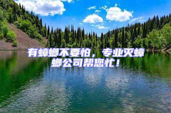 有蟑螂不要怕，專業(yè)滅蟑螂公司幫您忙！